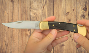 Buck Knives 110FG Folding Hunting Knife